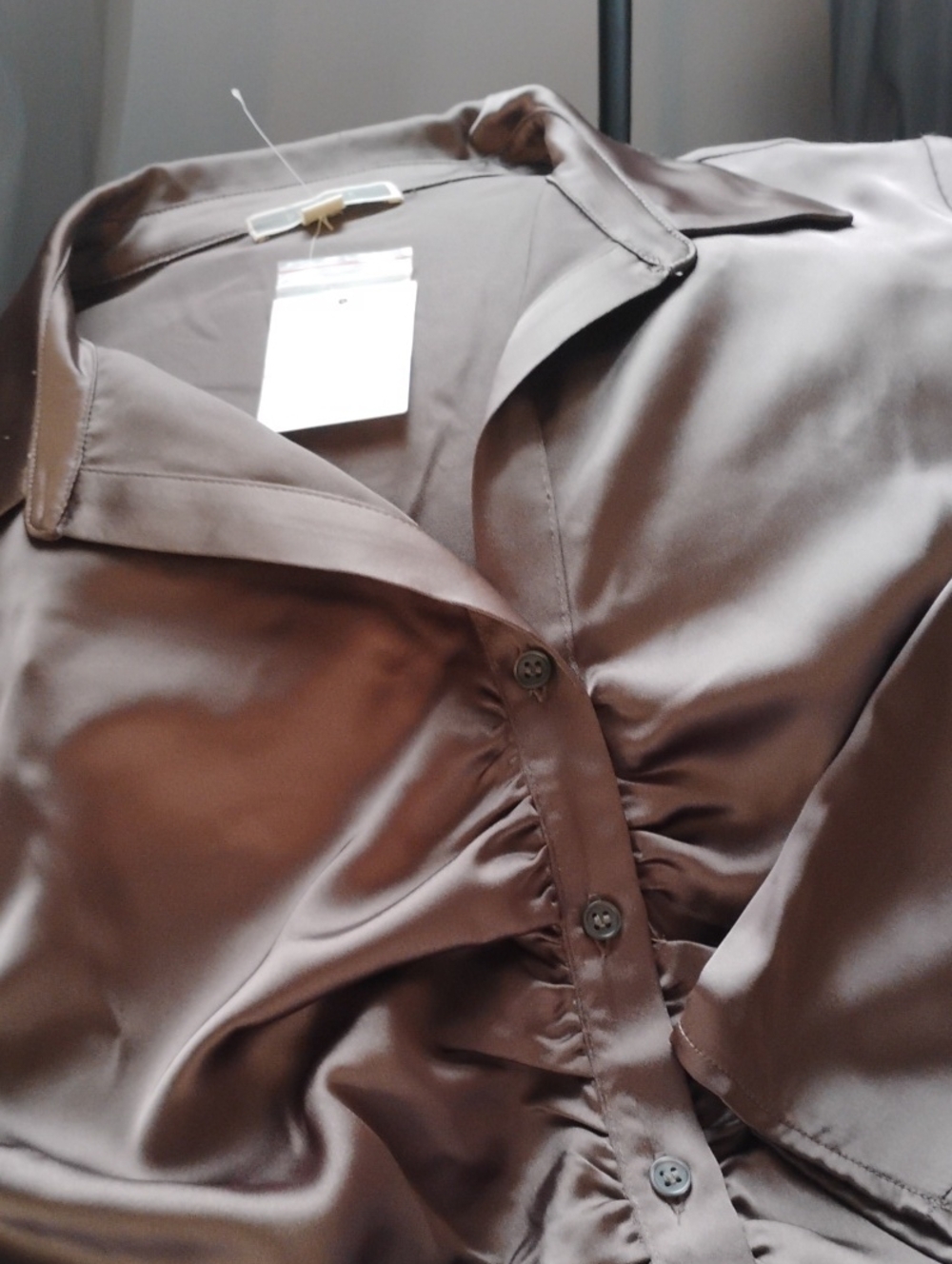Pleione Brown Satin Ruched Button-Down Shirt